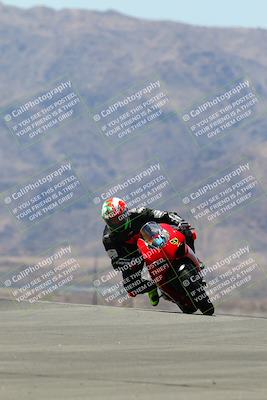 media/May-15-2022-SoCal Trackdays (Sun) [[33a09aef31]]/Turn 9 (11am)/